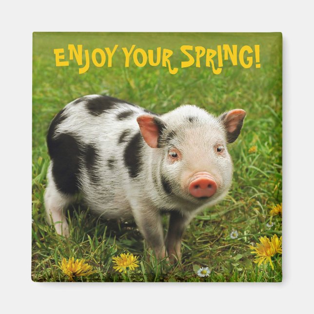 ENJOY YOUR SPRING! MAGNET (Front)
