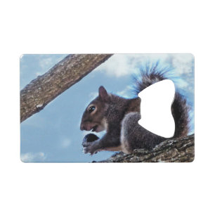 Enjoying a Nut