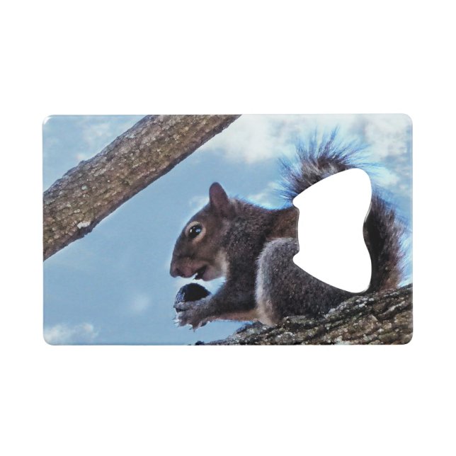 Enjoying a Nut (Front (Horizontal))