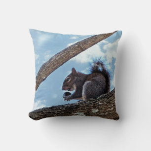 Enjoying a Nut Cushion