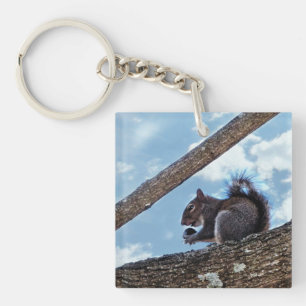 Enjoying a Nut Key Ring