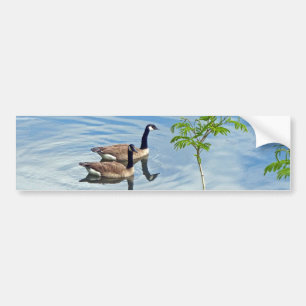 Enjoying a Swim Bumper Sticker