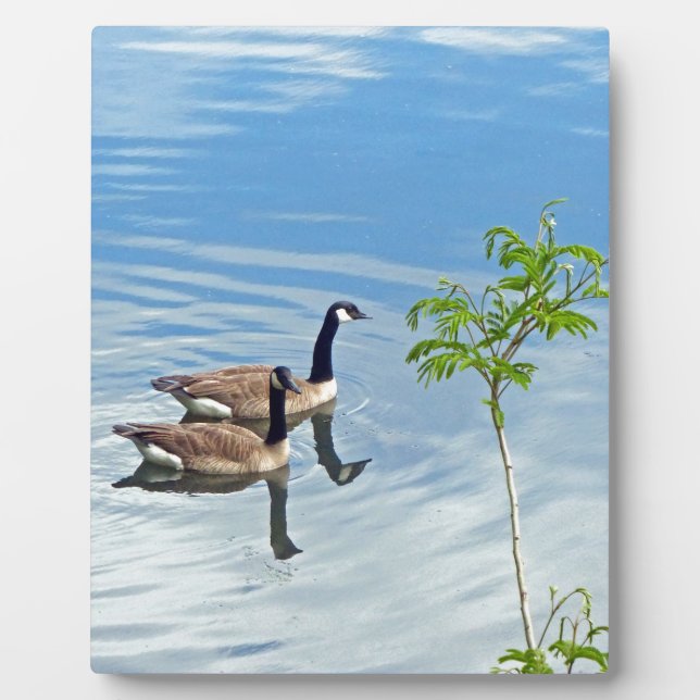 Enjoying a Swim Plaque (Front)