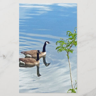 Enjoying a Swim Stationery