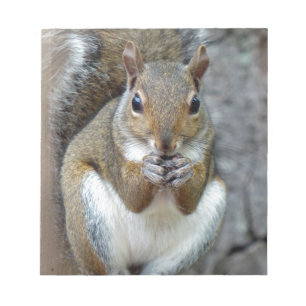 Enjoying a Treat Notepad
