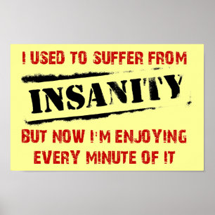 Enjoying Insanity Funny Poster Sign