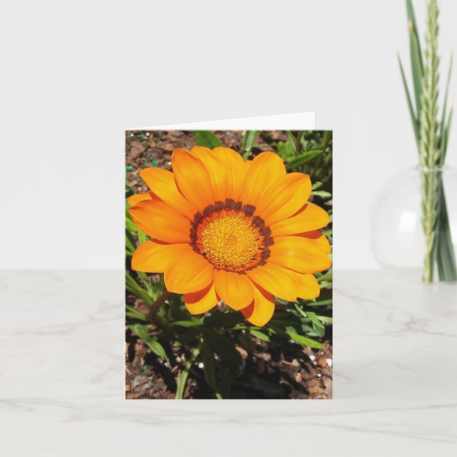 Enorma Orange Gazania Rigens Folded Note Card (Front)