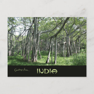 Enormous Banyan Tree Chennai Tamil Nadu India Postcard