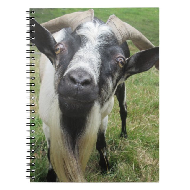 Enquiring Minds Notebook (Front)