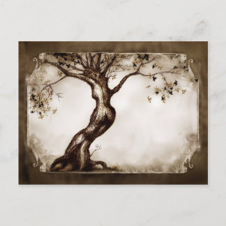 Ent Wife Postcard