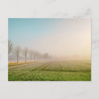 Entenfang in Wesseling, Germany Postcard