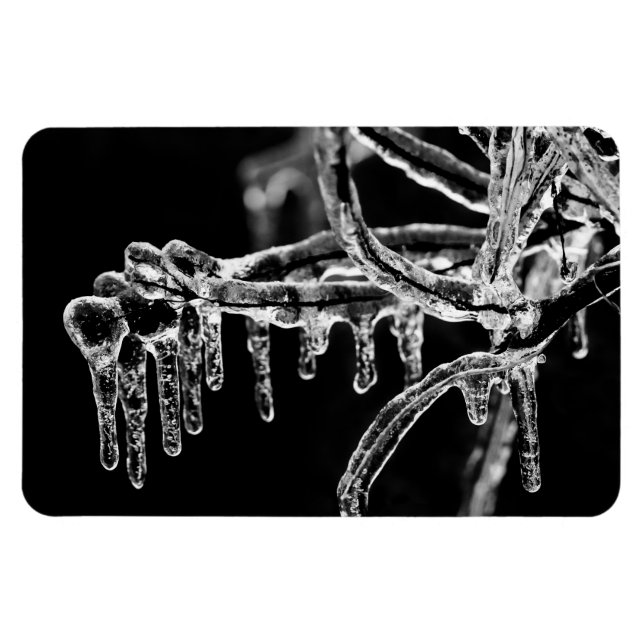 enter icy winter magnet (Horizontal)