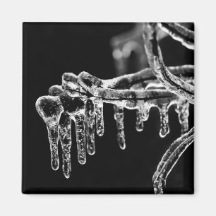 enter icy winter magnet