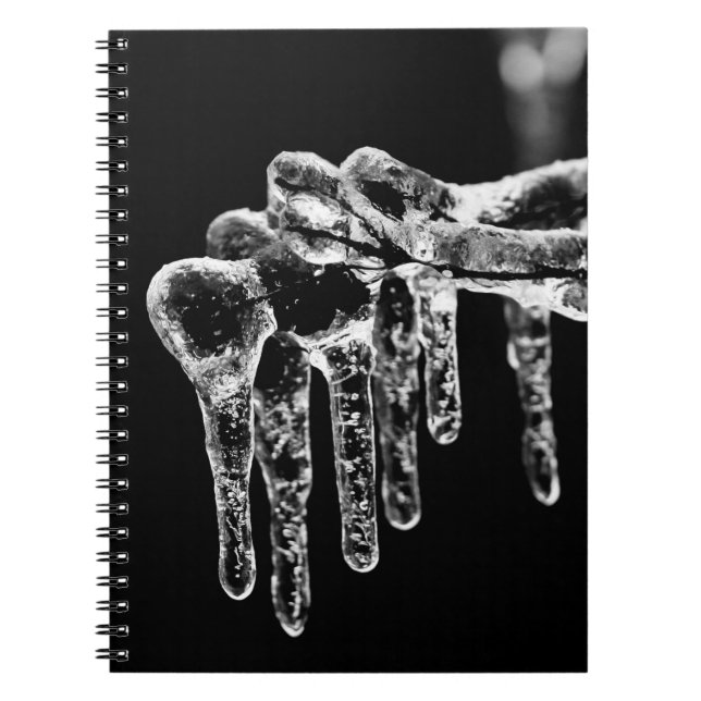 enter icy winter notebook (Front)