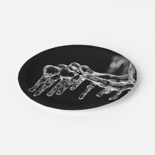 enter icy winter paper plate