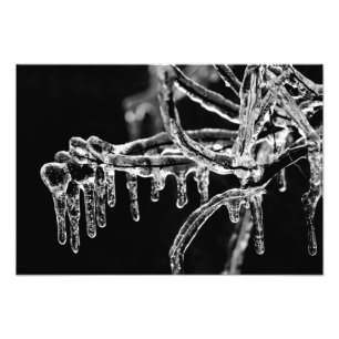 enter icy winter photo print