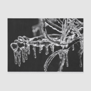 enter icy winter tissue paper