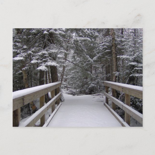 Enter - New Hampshire Snow Scene Postcard (Front)