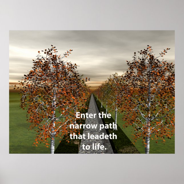 Enter the narrow path that leadeth to life. poster (Front)