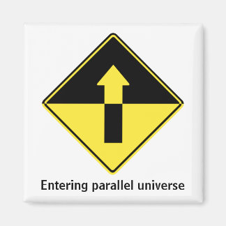 Entering parallel universe magnet