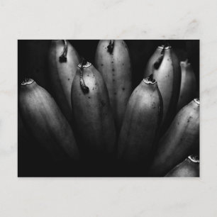 entertaining bunch postcard