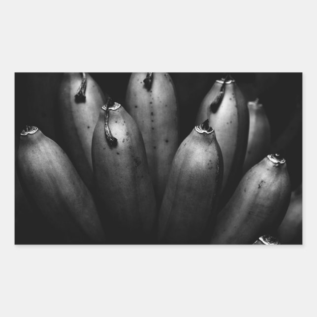 entertaining bunch rectangular sticker (Front)