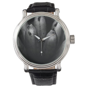 entertaining bunch watch