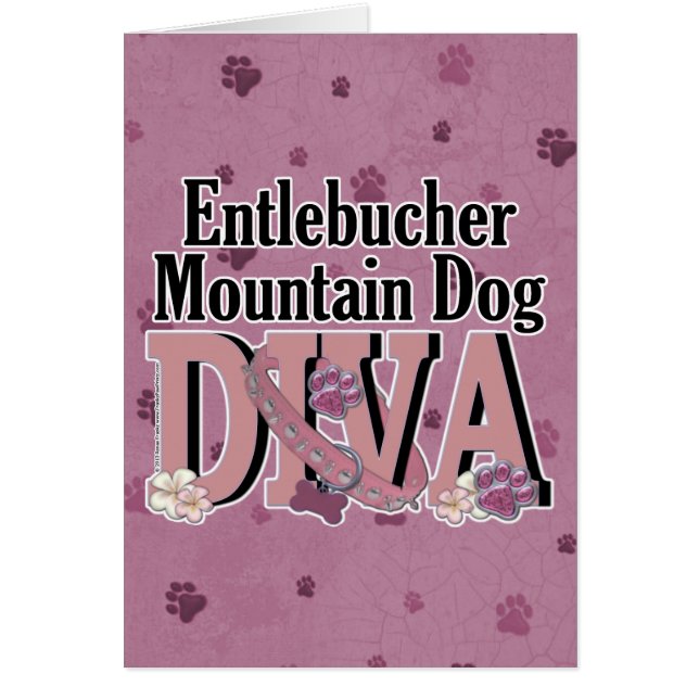 Entlebucher Mountain Dog DIVA (Front)