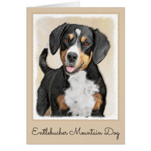 Entlebucher Mountain Dog Painting - Original Art