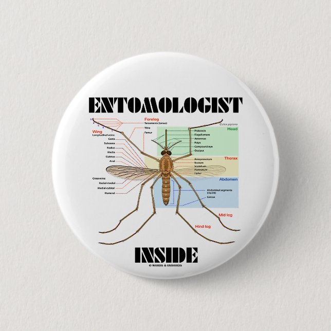 Entomologist Inside (Mosquito Anatomy) 6 Cm Round Badge (Front)