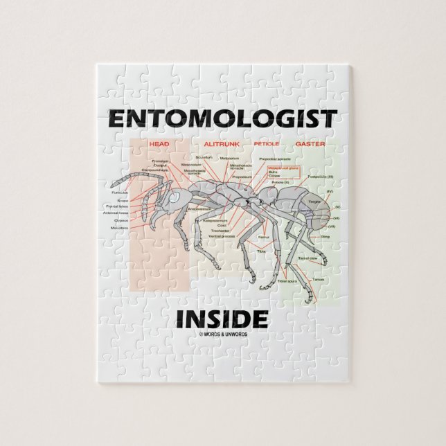 Entomologist Inside (Worker Ant Anatomy) Jigsaw Puzzle (Vertical)