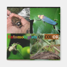 Entomologists of Colour Magnets
