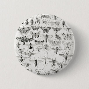 Entomology from A history of the earth and animate 6 Cm Round Badge