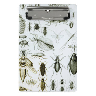 Entomology Insects Mini Clipboard