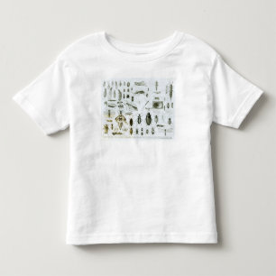 Entomology Insects Toddler T-Shirt