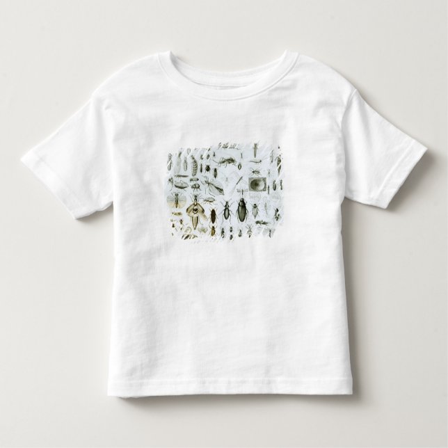 Entomology Insects Toddler T-Shirt (Front)