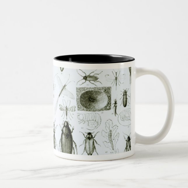 Entomology Insects Two-Tone Coffee Mug (Right)