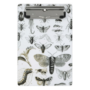 Entomology Mini Clipboard
