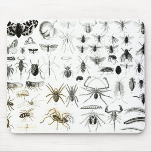 Entomology, Myriapoda and Arachnida Mouse Pad