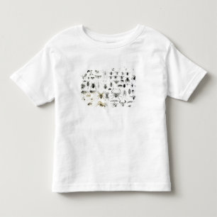 Entomology, Myriapoda and Arachnida Toddler T-Shirt