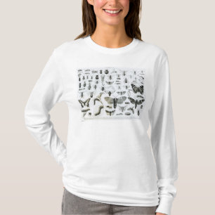 Entomology T-Shirt