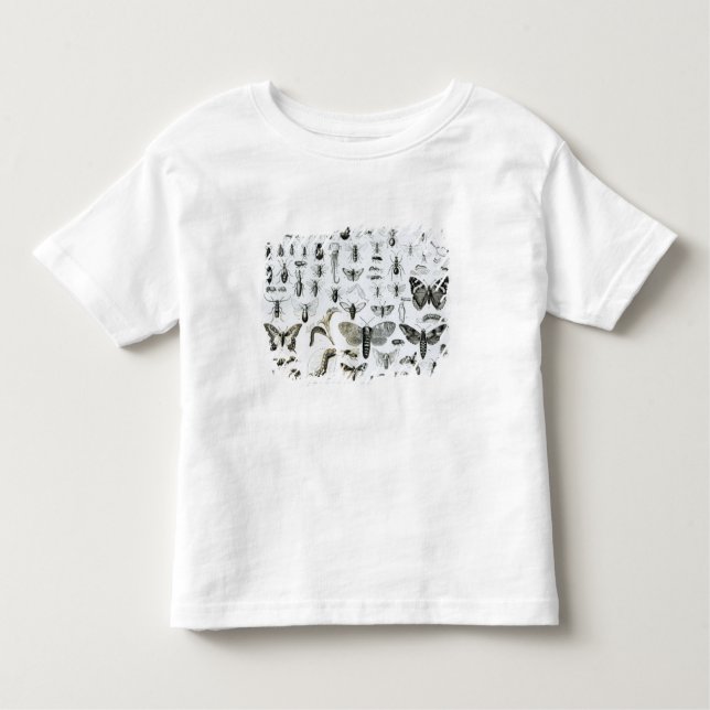 Entomology Toddler T-Shirt (Front)