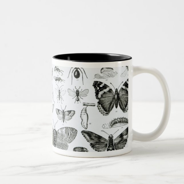 Entomology Two-Tone Coffee Mug (Right)