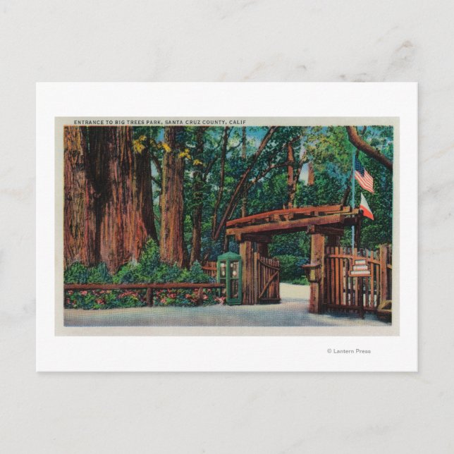 Entrance to Big Trees Park, Santa Cruz County Postcard (Front)