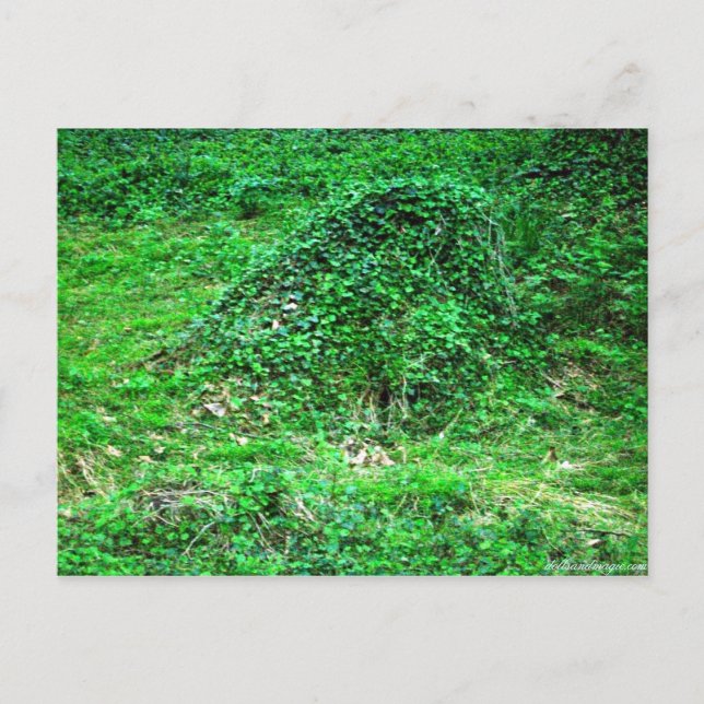 Entrance to Faery I Postcard (Front)