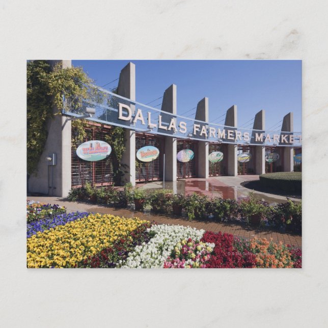Entrance to the Dallas Farmers Market Postcard (Front)