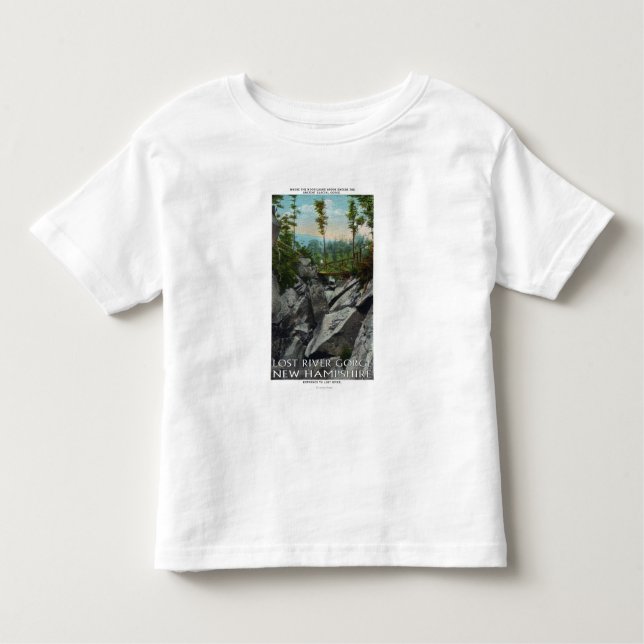 Entrance View of a Ancient Glacial Gorge Toddler T-Shirt (Front)