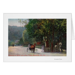 Entrance View to Shady Lane, Horse Carriage