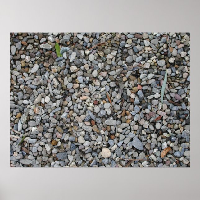 Entropy Poster (Front)