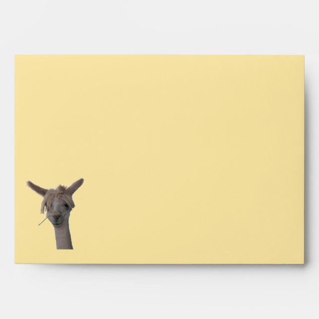 Envelope - Alpaca (rev.) (Front)
